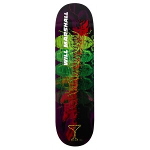 Tabla Skate Alltimers Bug's Life Will 8.1''